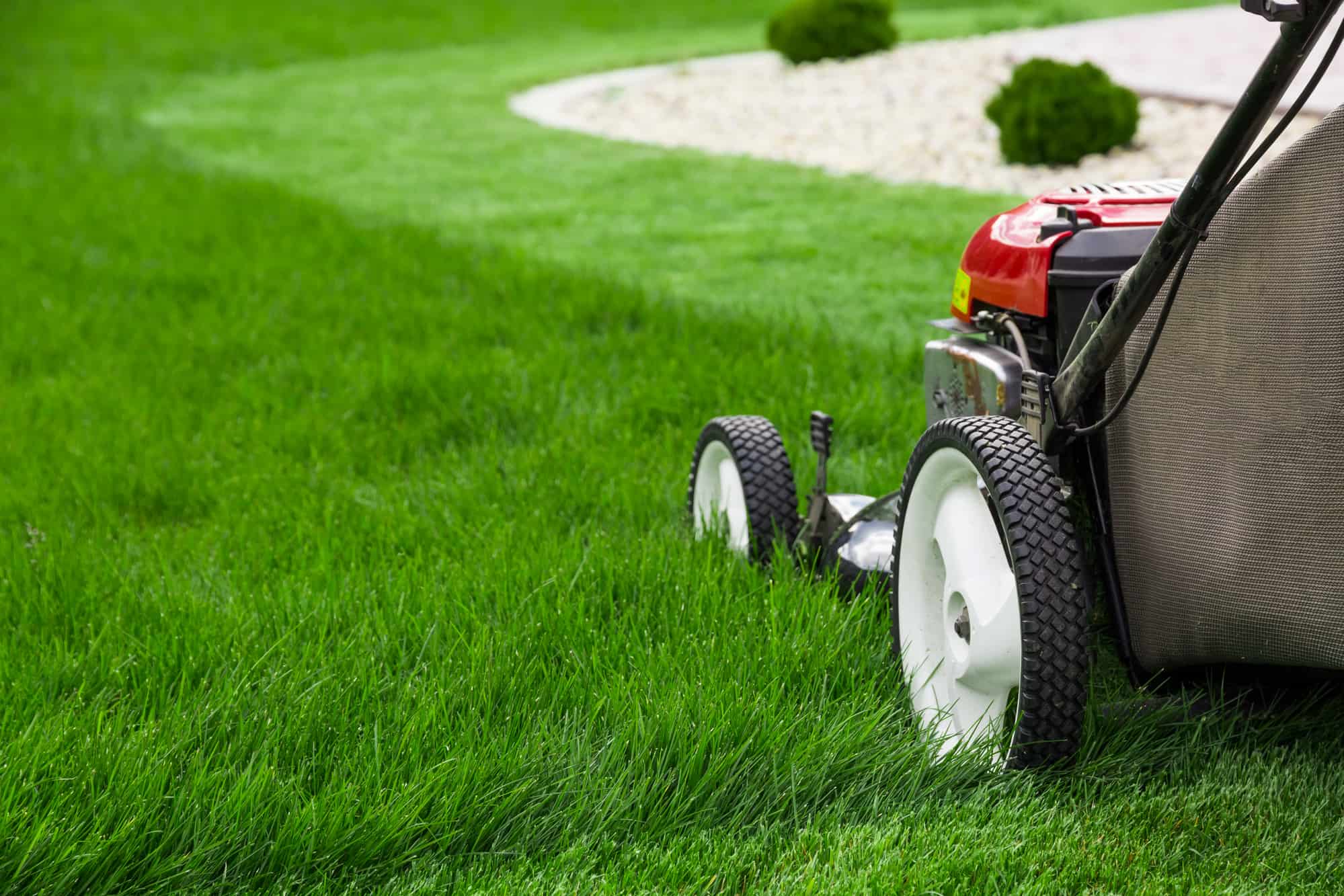 Best Lawn Mowers for Stripes - ToolsReview.uk